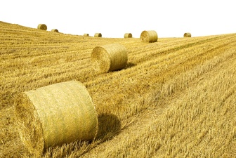 Acre of Farmland - Virtual Purchase Item